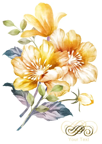 Suluboya çiçek illüstrasyonu — Stok fotoğraf