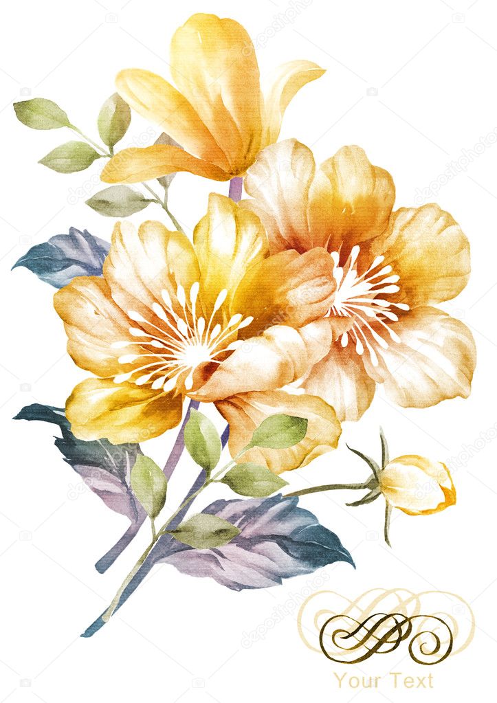 Watercolor flower illustration