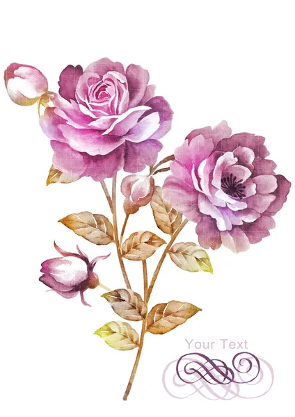 Aquarelle illustration fleur — Photo