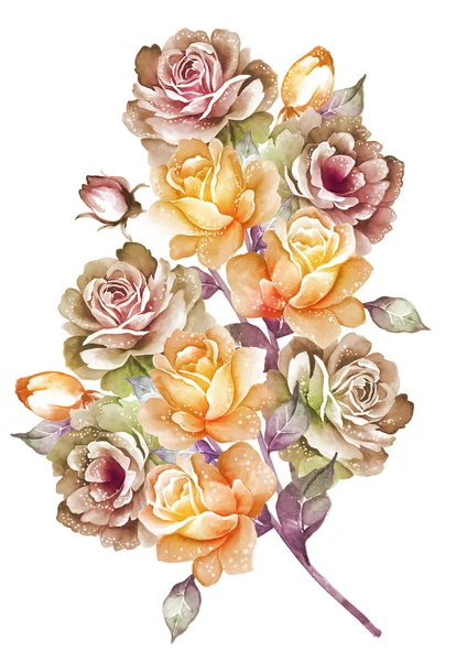 Watercolor illustration flower — Stock Photo, Image