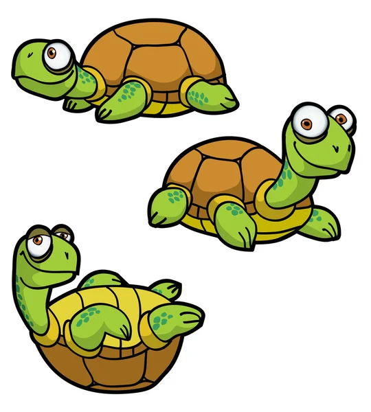 Turtle — Stock Vector