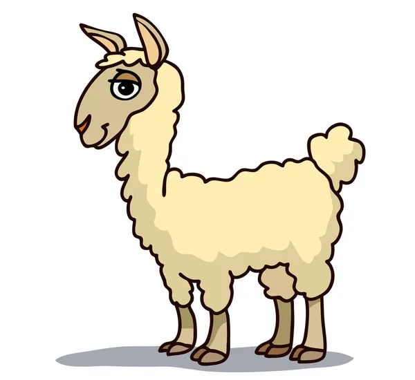 Llama. — Stock Vector