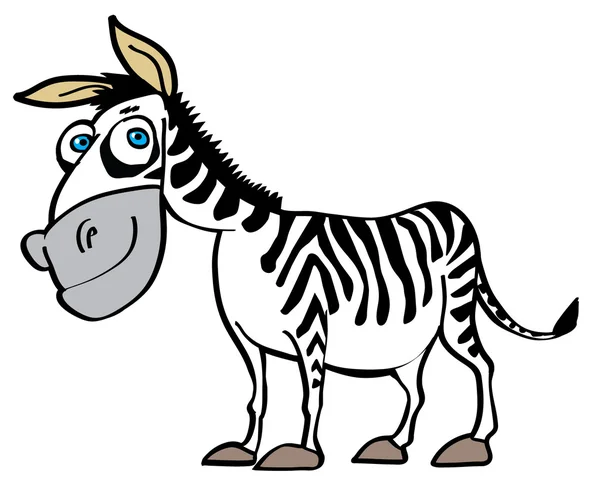 Cartoon zebra — Stock Vector