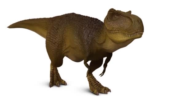 Бесшовная 3D-анимация T-rex — стоковое видео