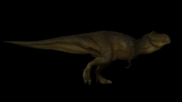 Animazione senza soluzione di continuità T-rex 3d — Video Stock