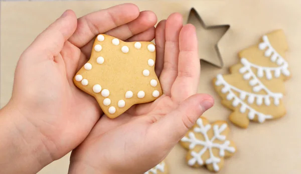 Criança Segurando Biscoito Cristmas Caseiro Espaço Cópia Fotos De Bancos De Imagens