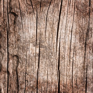 Close-up of dark old wooden background. Top view