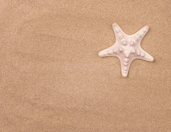 Летний Солнечный Пляж Закрыть Морскую Звезду Песке — стоковое фото