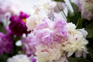 pembe ve beyaz peonies buket