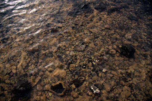 Textura Piedra — Foto de Stock