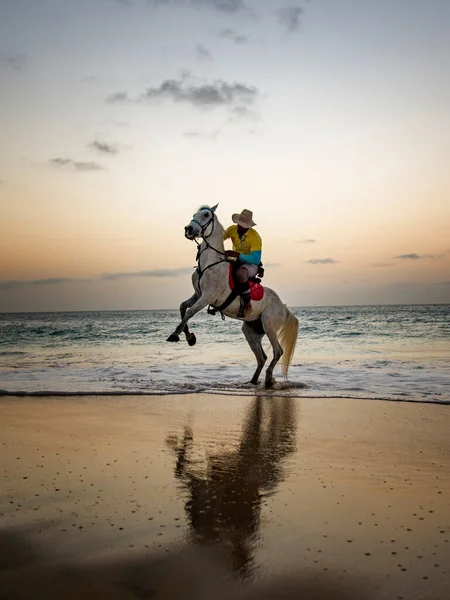 Homem Praia Cavalo Com Reflexão Com Oceano — Fotografia de Stock