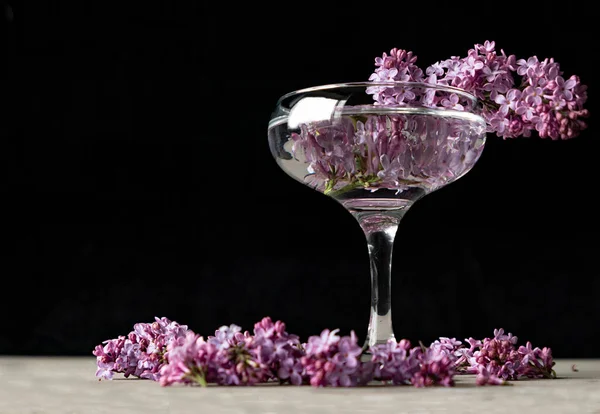 Весенние Фиолетовые Цветы Сирень Стакане Черном Фоне — стоковое фото