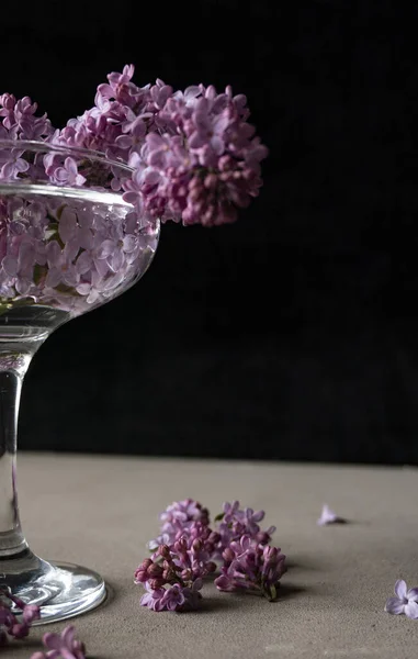 Primavera Fiori Viola Lilla Bicchiere Sfondo Nero — Foto Stock