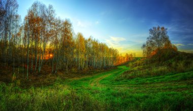 Mavi gökyüzü ile altın geç sonbahar orman hdr Panoraması
