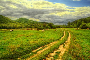 dağ çayır boyunca yol