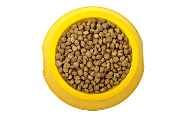 Sarı kase kuru kedi maması