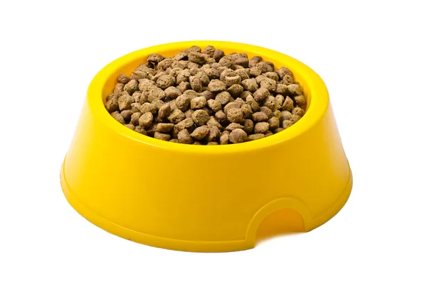 Trockenfutter für Katzen in gelber Schale — Stockfoto