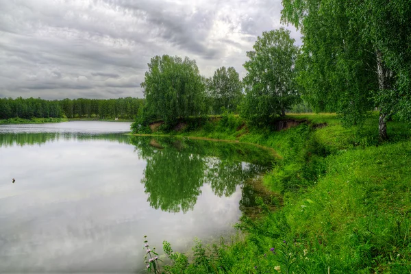 Літній пейзаж з лісом і озером — стокове фото