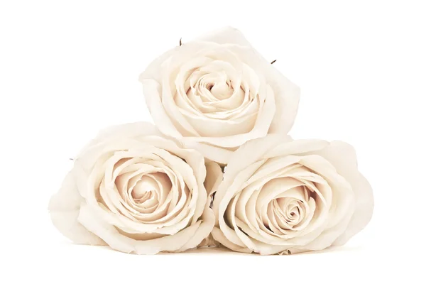 Bouquet di rose — Foto Stock