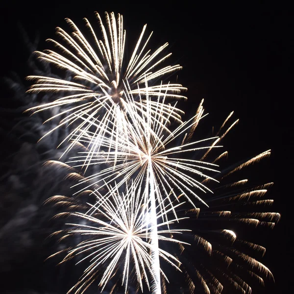 Vuurwerk op de zwarte lucht — Stockfoto