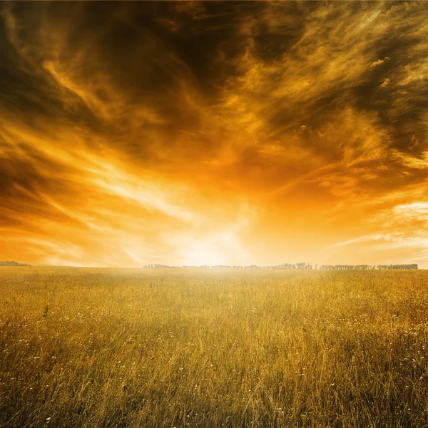 Höstlandskap med orange gräs och himlen under solnedgången — Stockfoto