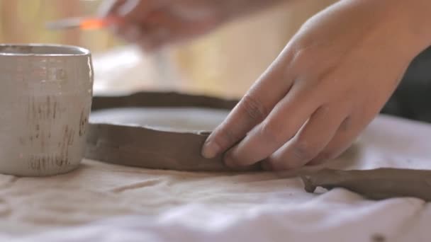 Sanatçı Seramik Çömlekçi Yapıyor — Stok video