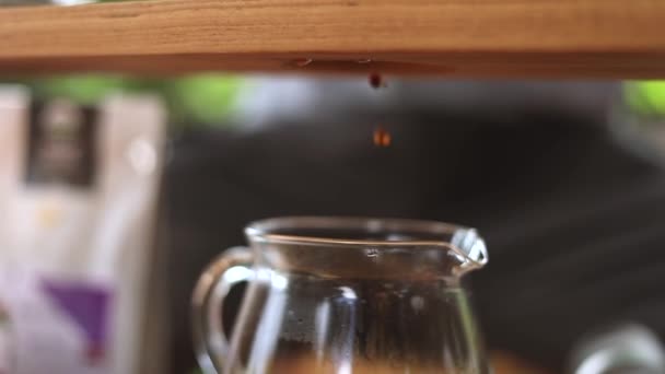 Közelkép Frissen Főzött Kávé Csöpög Papírszűrőből Hagyományos Csepegtető Sörfőzőpohárba — Stock videók