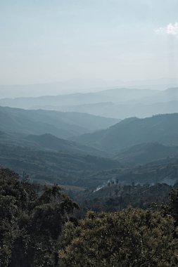 Tayland 'ın Chiang Rai eyaletindeki Doi Chang tepesinin güzel dağ manzarası.
