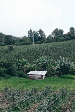Dağdaki kulübede Yağmurlu bir günde Dağdaki kulübelerde