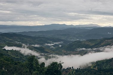 Chiang Rai 'deki Doi Chang tepesinin güzel dağ manzarası, Taylan