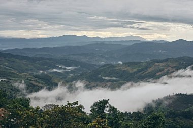 Chiang Rai 'deki Doi Chang tepesinin güzel dağ manzarası, Taylan