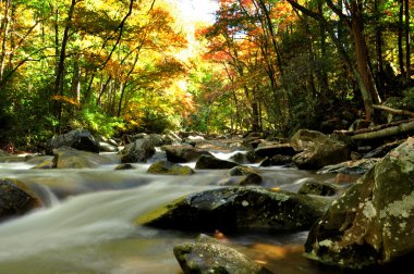 Pigeon River in Autumn clipart