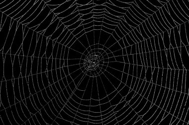abstraact örümcek ağı
