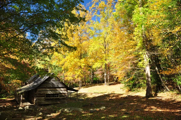 Cabine in het bos. — Stockfoto