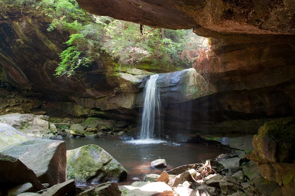 Cascate di macellazione cani — Foto Stock