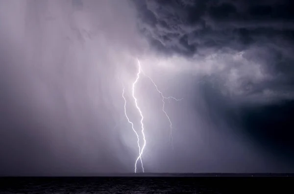 Lightning Bolts Strike Thunderstorm Florida — Stok fotoğraf