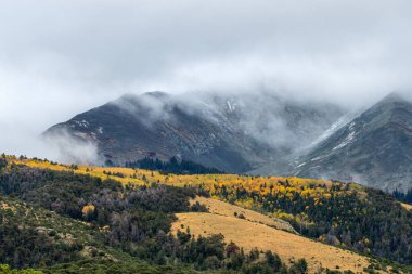 Colorado 'daki Sangre de Cristo dağlarının Blanca Dağı.