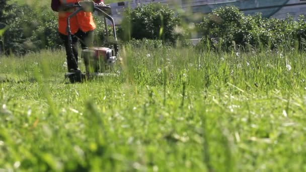 Zahradní dělník sekání přerostlé trávy s sekačky plení stroj — Stock video