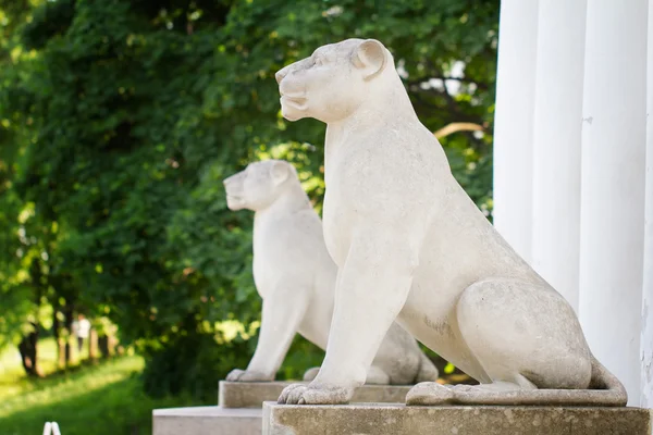 sütunlar ve kolomenskoye, Moskova CI lions ile beyaz köşk