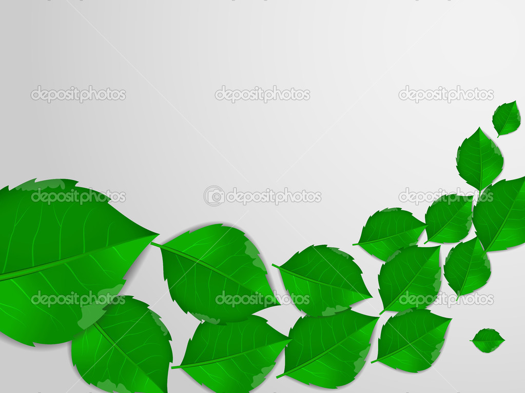Green Leaves Nature Background