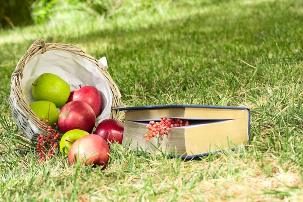 Stillleben mit Äpfeln und einem Buch — Stockfoto