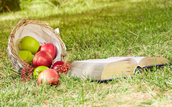 elma ve bir kitap ile natürmort