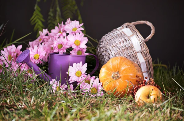 kabak ve sulama ile natürmort