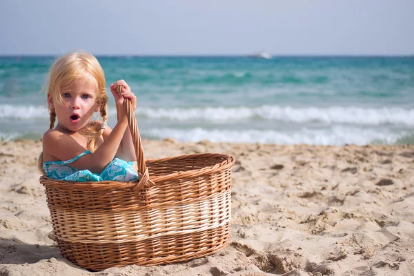 The girl in the basket — Stock Photo, Image