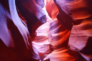 antilop Kanyonu, sayfa, arizona, ABD yuvası