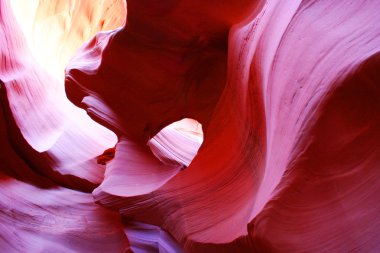 antilop Kanyonu, sayfa, arizona, ABD yuvası