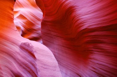 antilop Kanyonu, sayfa, arizona, ABD yuvası