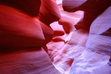 antilop Kanyonu, sayfa, arizona, ABD yuvası