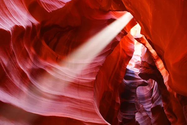 antilop Kanyonu, sayfa, arizona, ABD yuvası