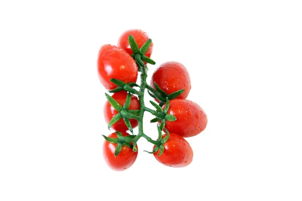 Ein Zweig frische reife Kirschtomaten — Stockfoto